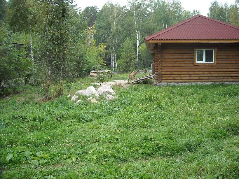 Новосибирский зоопарк (фото 2231) 