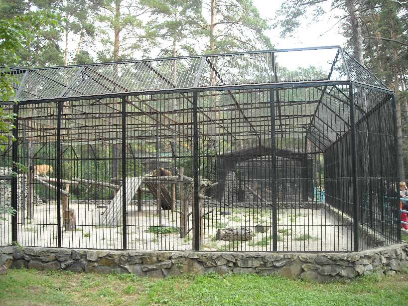 Новосибирский зоопарк (фото 2250) 