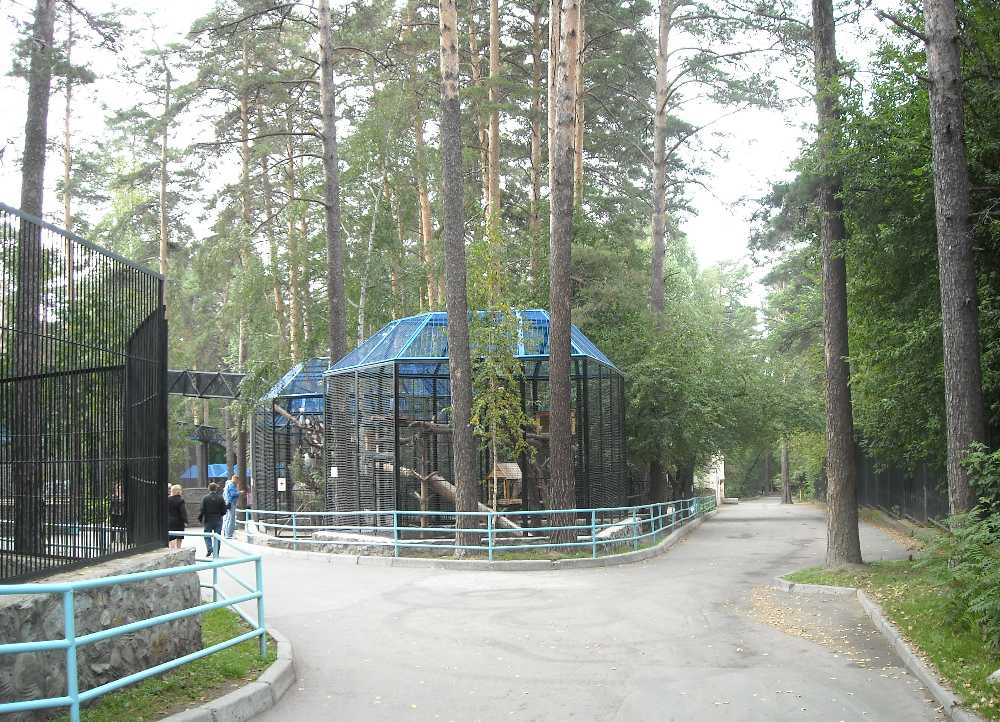 Новосибирский зоопарк (фото 2344) 