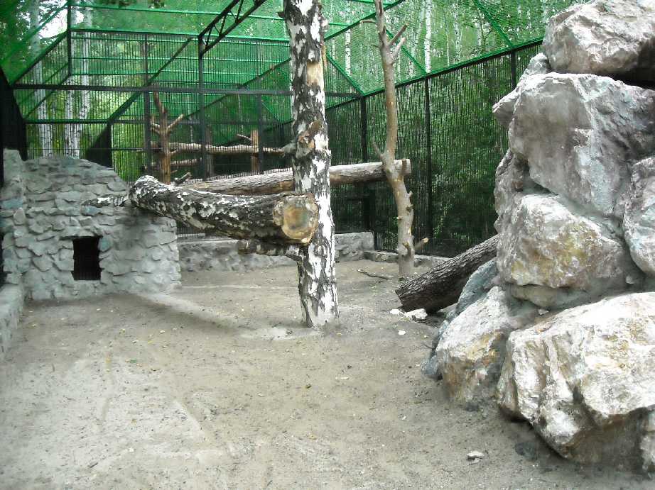 Новосибирский зоопарк (фото 6809) 